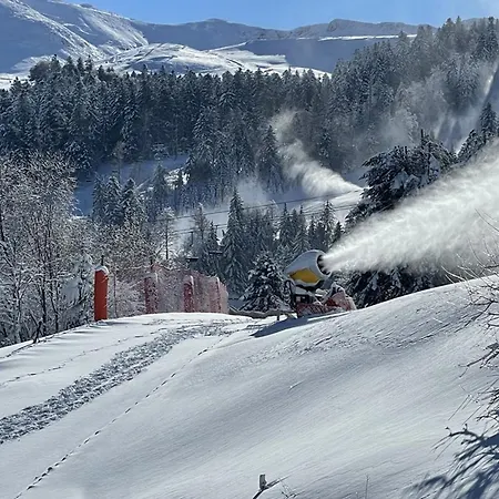 Avec Balcon, Au Pied Des Pistes Et Commerces - Fr-1-787-24 Apartamento